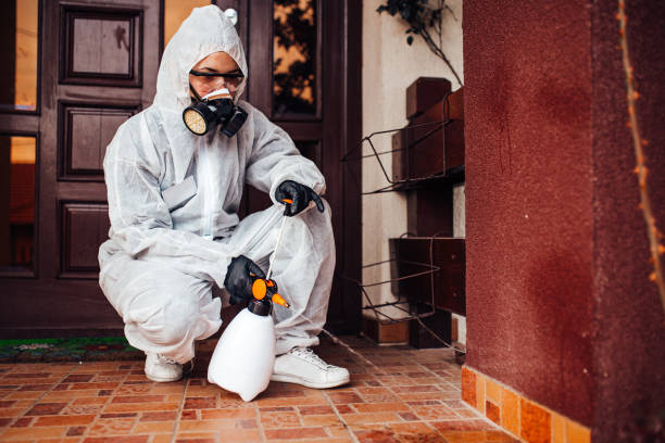 Attic and Crawl Space Rodent Treatment in Upper Grand Lagoon